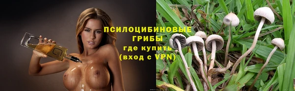 молекула духа Алексин
