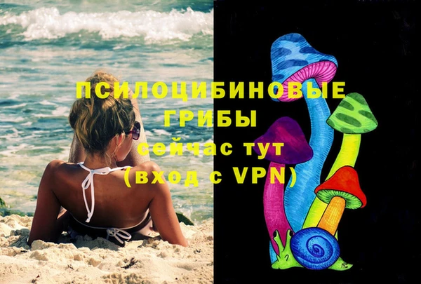 Альфа ПВП Алзамай