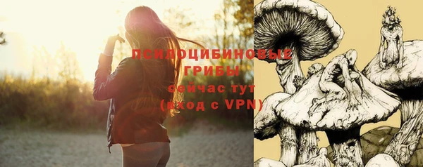 Альфа ПВП Алзамай