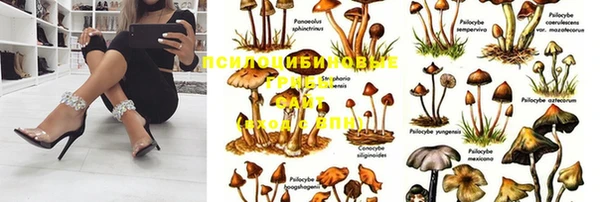 молекула духа Алексин
